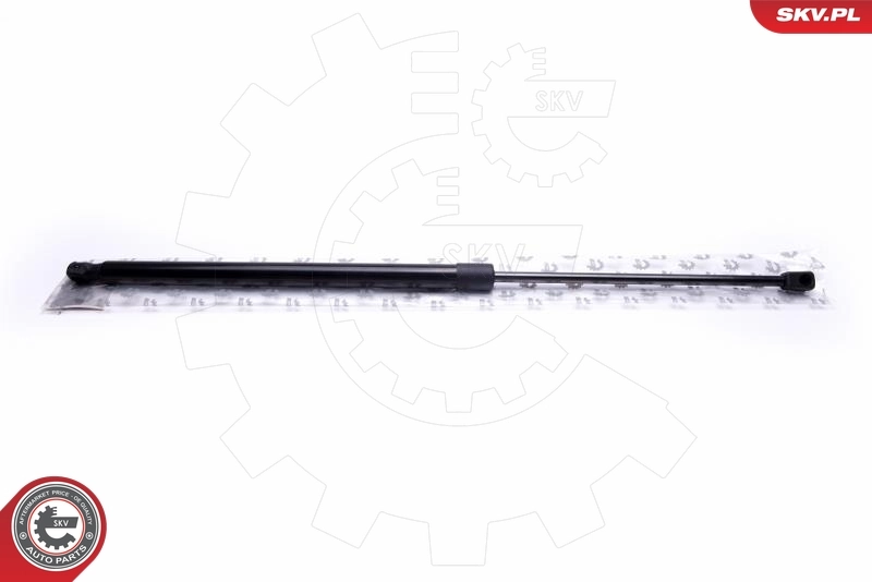Gas Spring, boot/cargo area